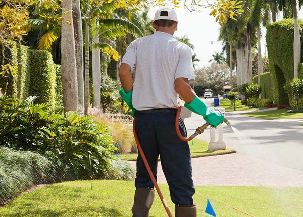 About Richville NY Pest Control